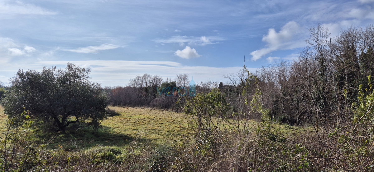 Istra, Umag, gradbeno zemljišče 1000 m2, prodaja