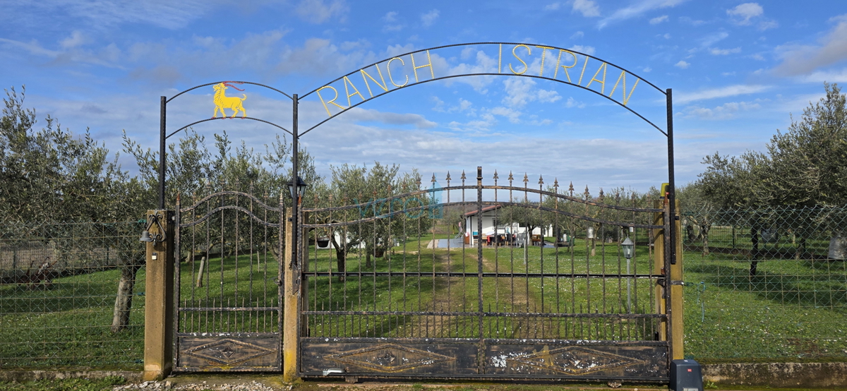 Istra, Umag, okolica, kmetijsko zemljišče 5780 m2 z legaliziranimi objekti, prodaja