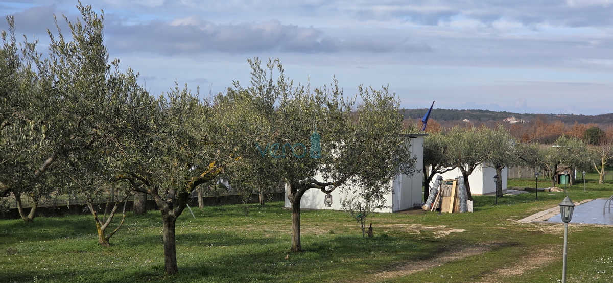 Istra, Umag, okolica, kmetijsko zemljišče 5780 m2 z legaliziranimi objekti, prodaja