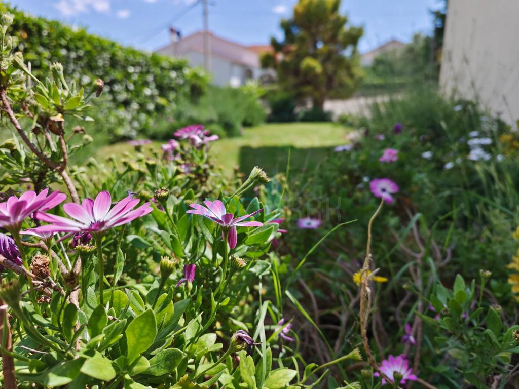Otok Krk, Šilo, okolica, samostojna družinska hiša, vrt, bazen, pogled na morje, naprodaj