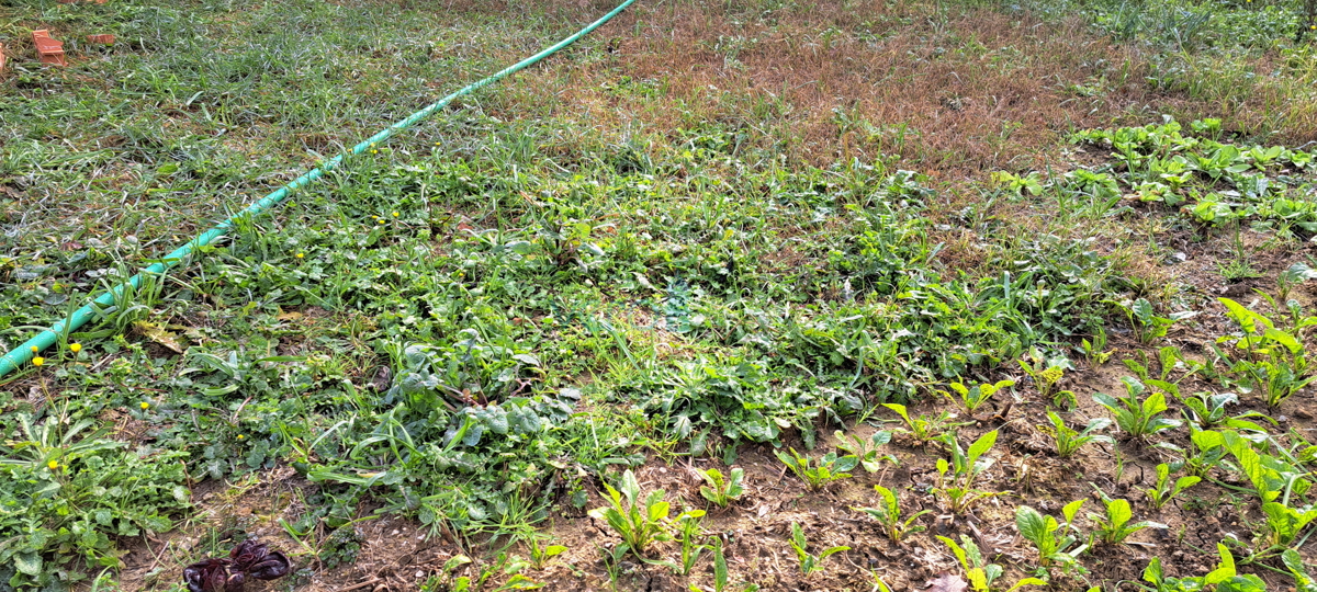 Otok Krk, zaliv Soline, nov dvosobni apartma 56 m2 z vrtom, delni pogled, prodaja