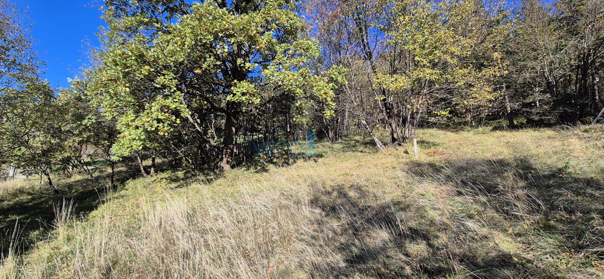 Bakar, Hreljin - dvojna kamnita hiša, pogled na morje, zemljišče z vrtom 821 m2 + zazidljivo zemljišče 876 m2, prodaja