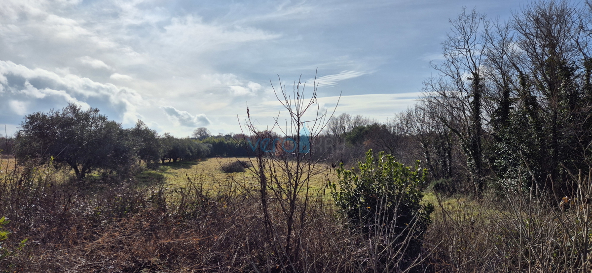 Istra, Umag, gradbeno in kmetijsko zemljišče 1250 m2, prodaja