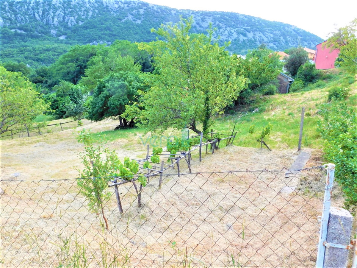 Bribir - družinsko posestvo z 2 hišama in velikim vrtom! PRILOŽNOST!, prodaja