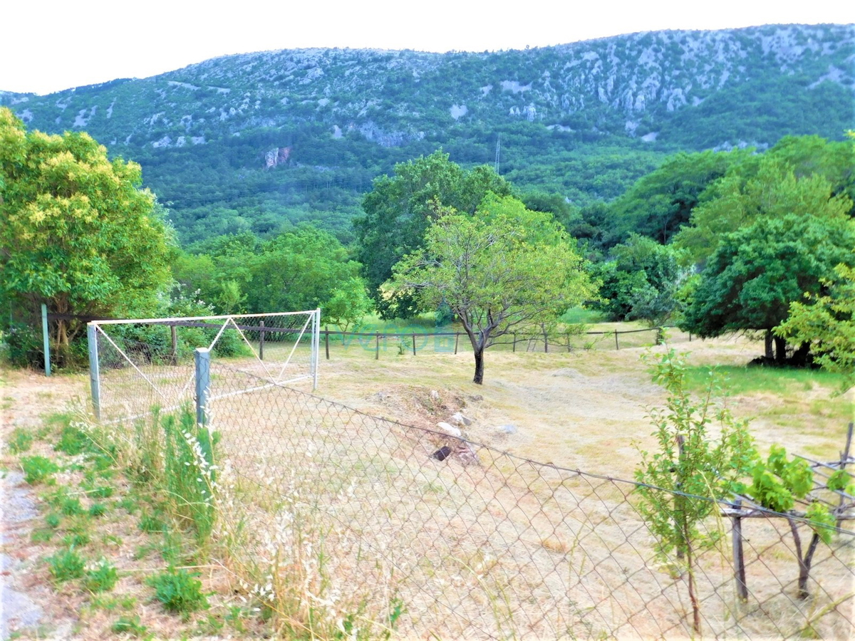 Bribir - družinsko posestvo z 2 hišama in velikim vrtom! PRILOŽNOST!, prodaja