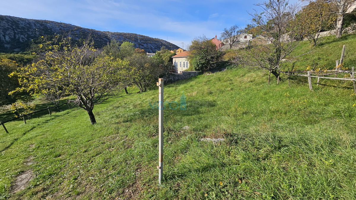 Bribir - družinsko posestvo z 2 hišama in velikim vrtom! PRILOŽNOST!, prodaja