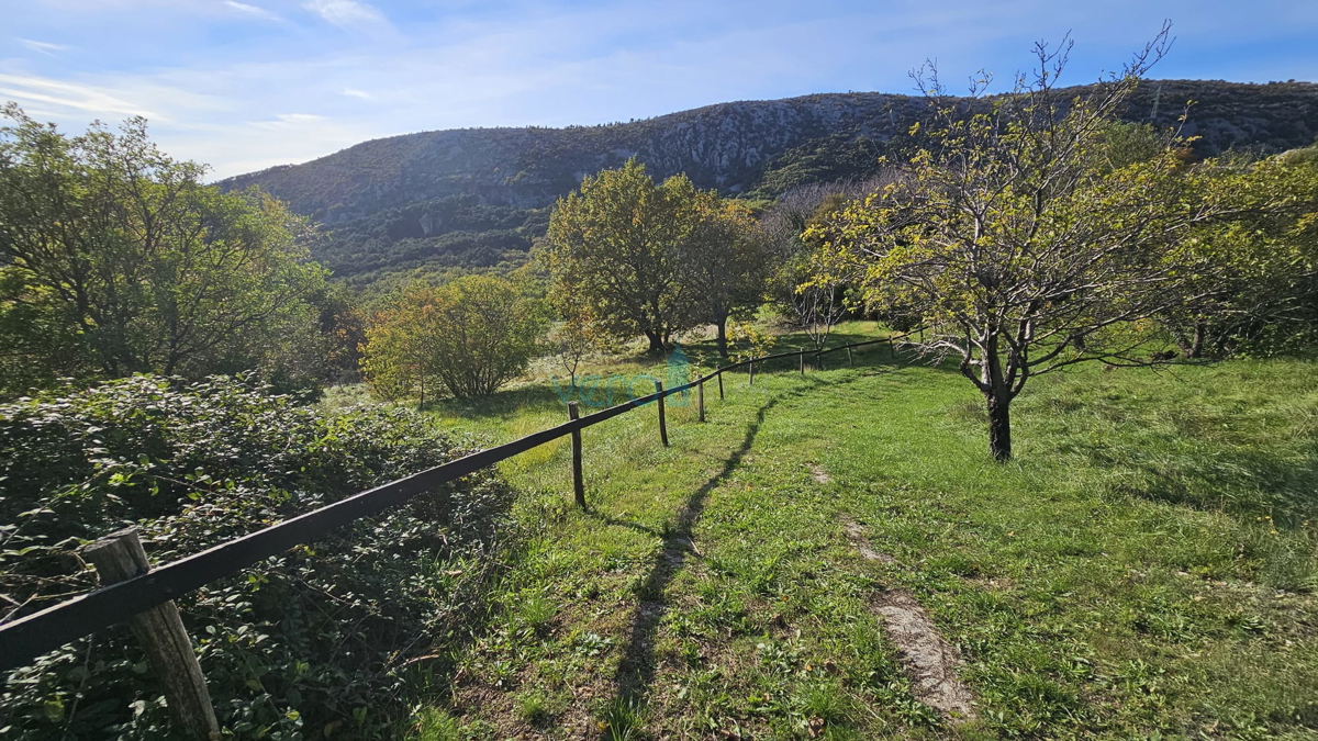 Bribir - družinsko posestvo z 2 hišama in velikim vrtom! PRILOŽNOST!, prodaja
