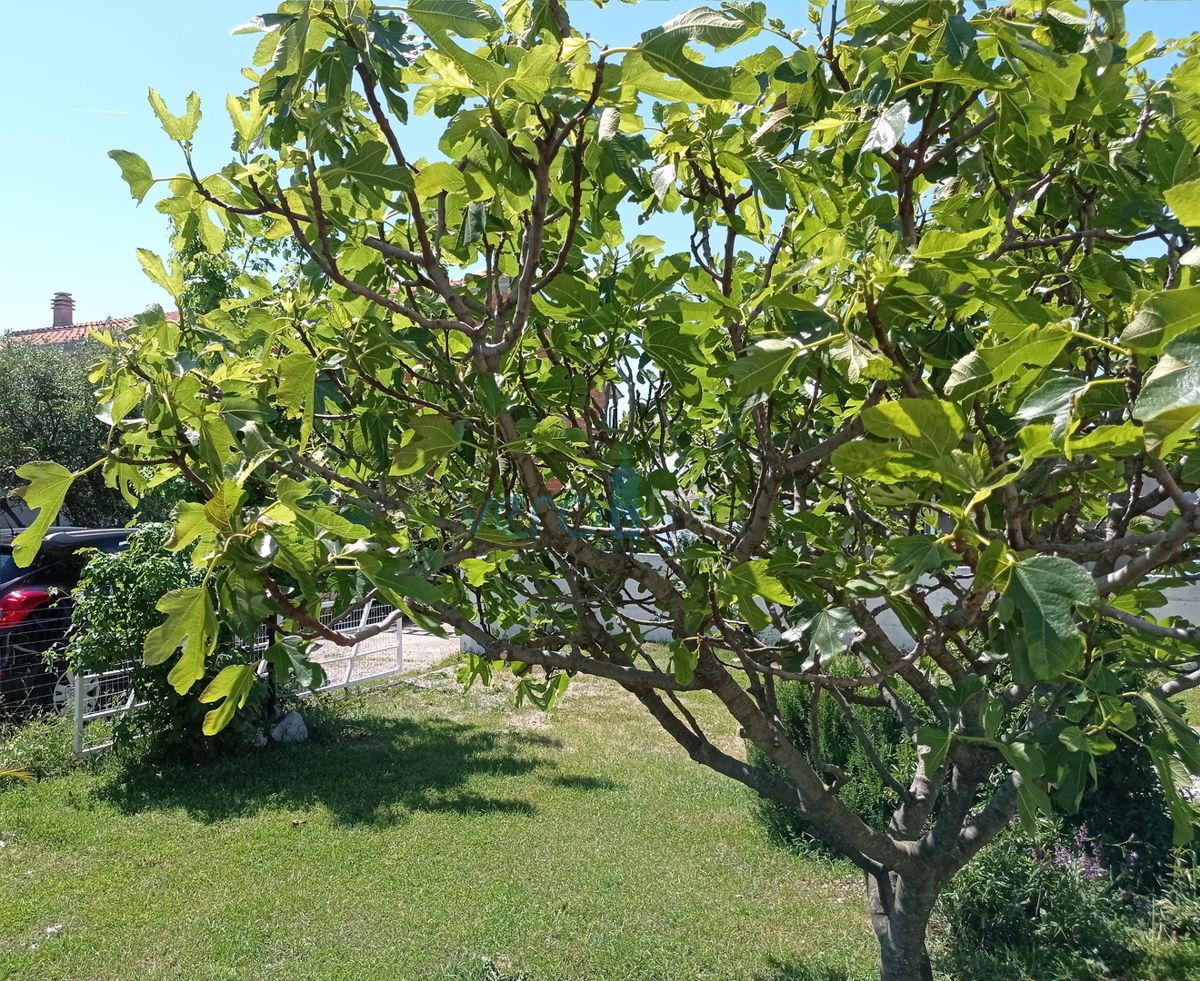 Crikvenica, Jadranovo, apartma 73 m2 v pritličju s pogledom na morje in velikim vrtom, prodamo