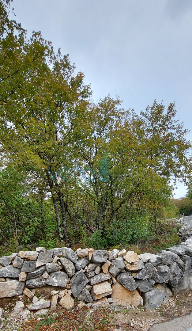 Dobrinj, otok Krk, okolica, zazidljivo zemljišče 915 m2, prodamo