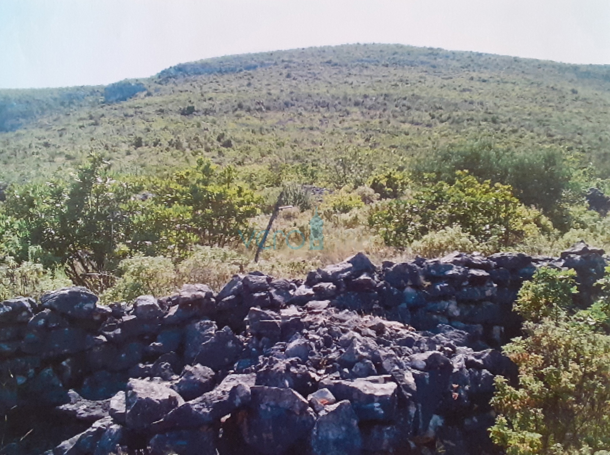 Otok Hvar, Stari Grad, Grablje, vinograd približno 50.000 m2