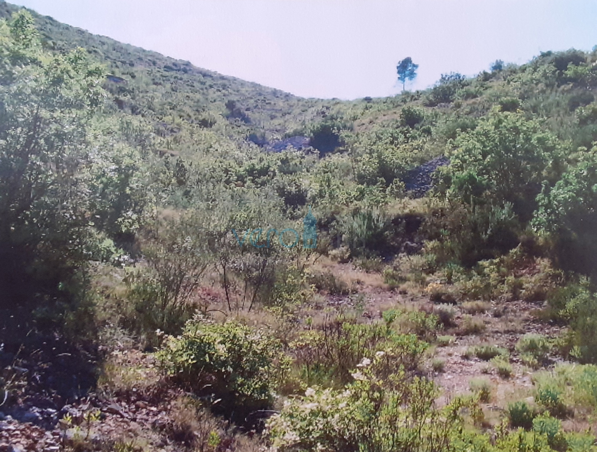 Otok Hvar, Stari Grad, Grablje, vinograd približno 50.000 m2