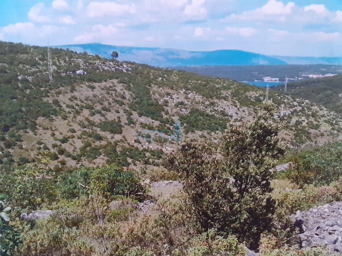 Otok Hvar, Stari Grad, Grablje, vinograd približno 50.000 m2