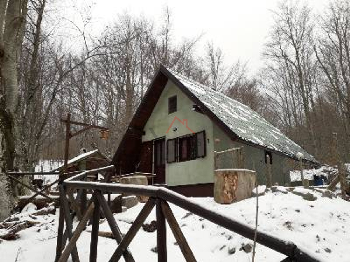 BRIBIR, LUKOVO - Hiša v gozdu