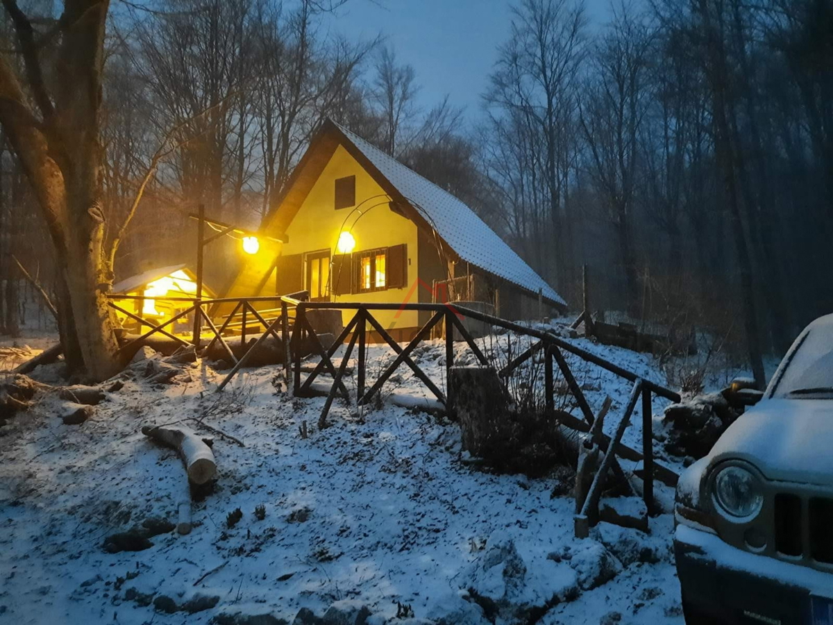 BRIBIR, LUKOVO - Hiša v gozdu