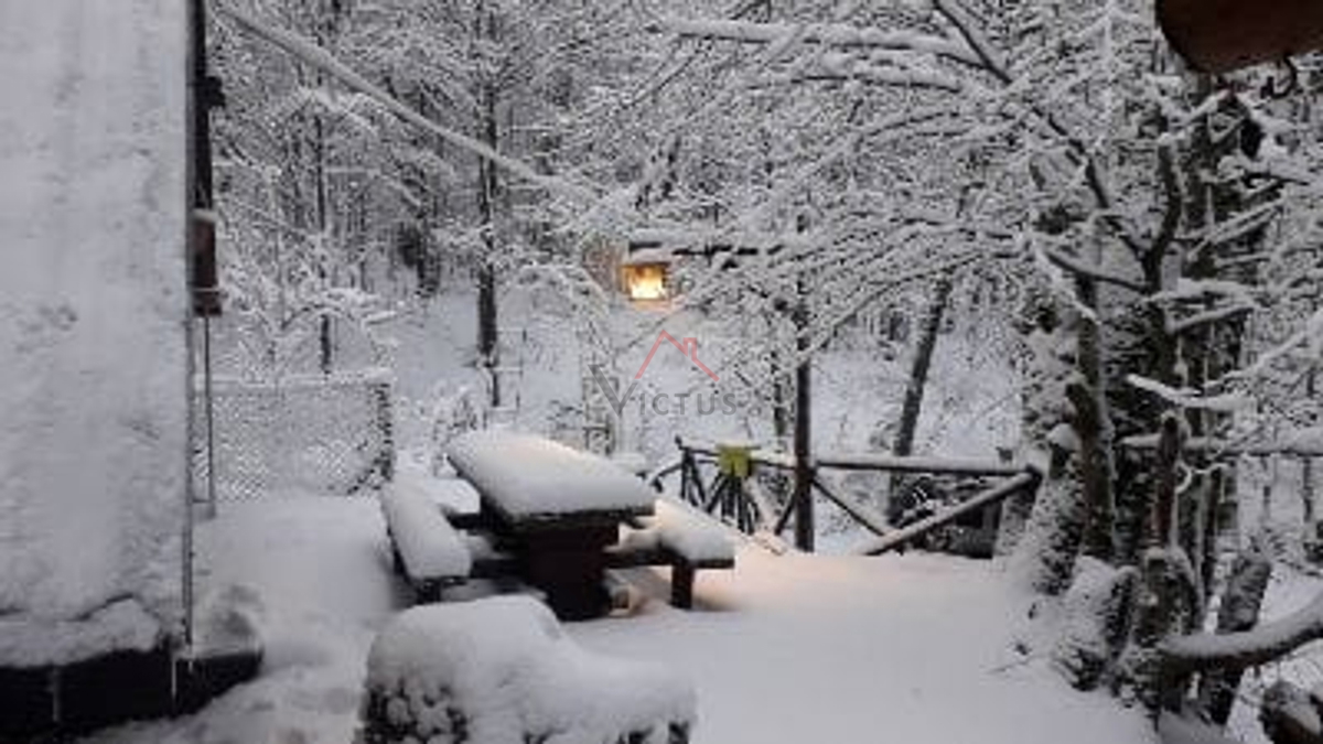 BRIBIR, LUKOVO - Hiša v gozdu