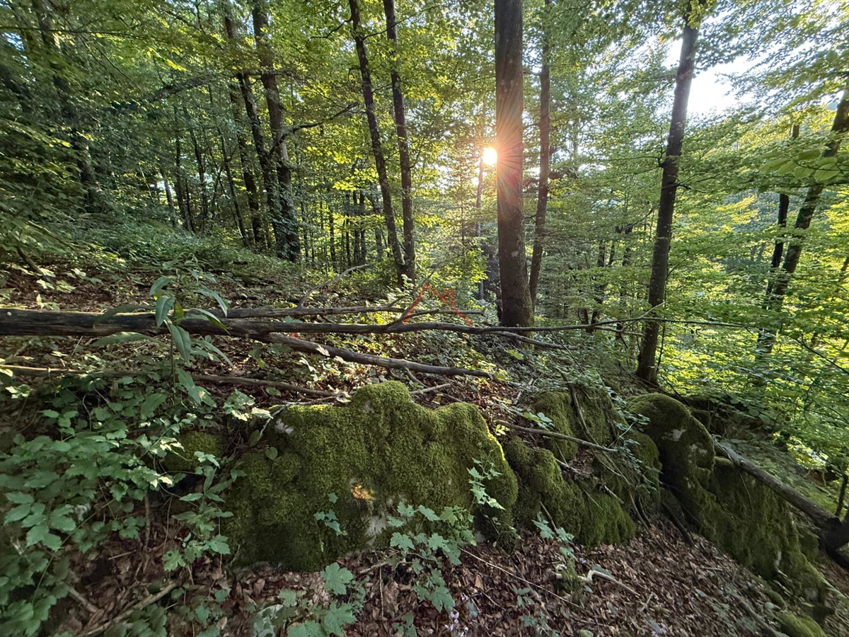 LOKVE - Gradbeno zemljišče, 3072 m2