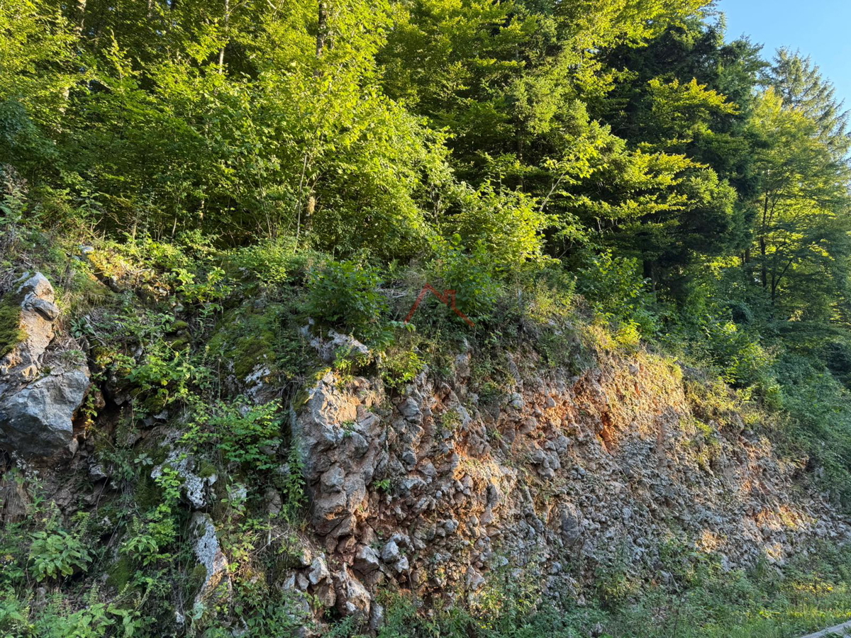 LOKVE - Gradbeno zemljišče, 3072 m2