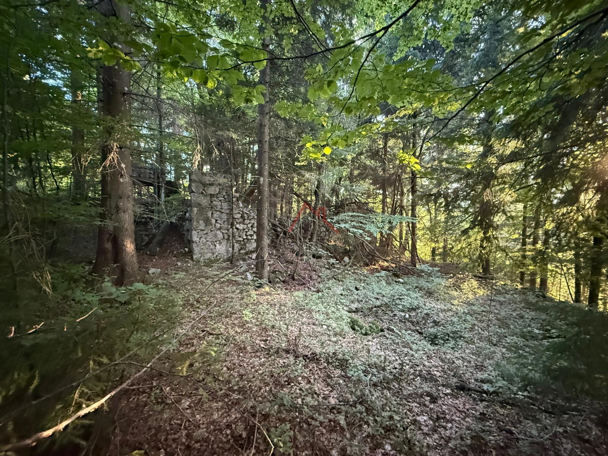 LOKVE - Gradbeno zemljišče, 3072 m2