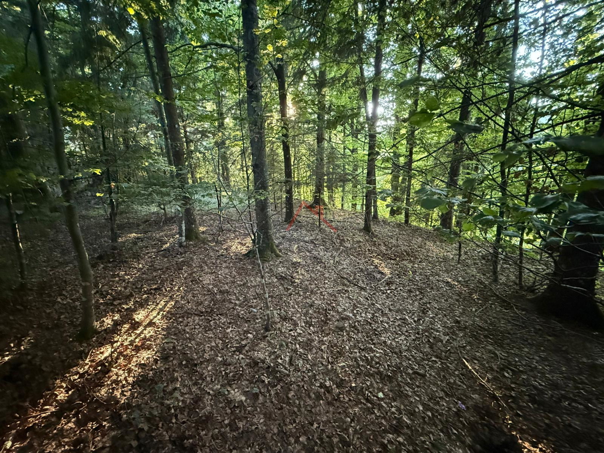 LOKVE - Gradbeno zemljišče, 3072 m2