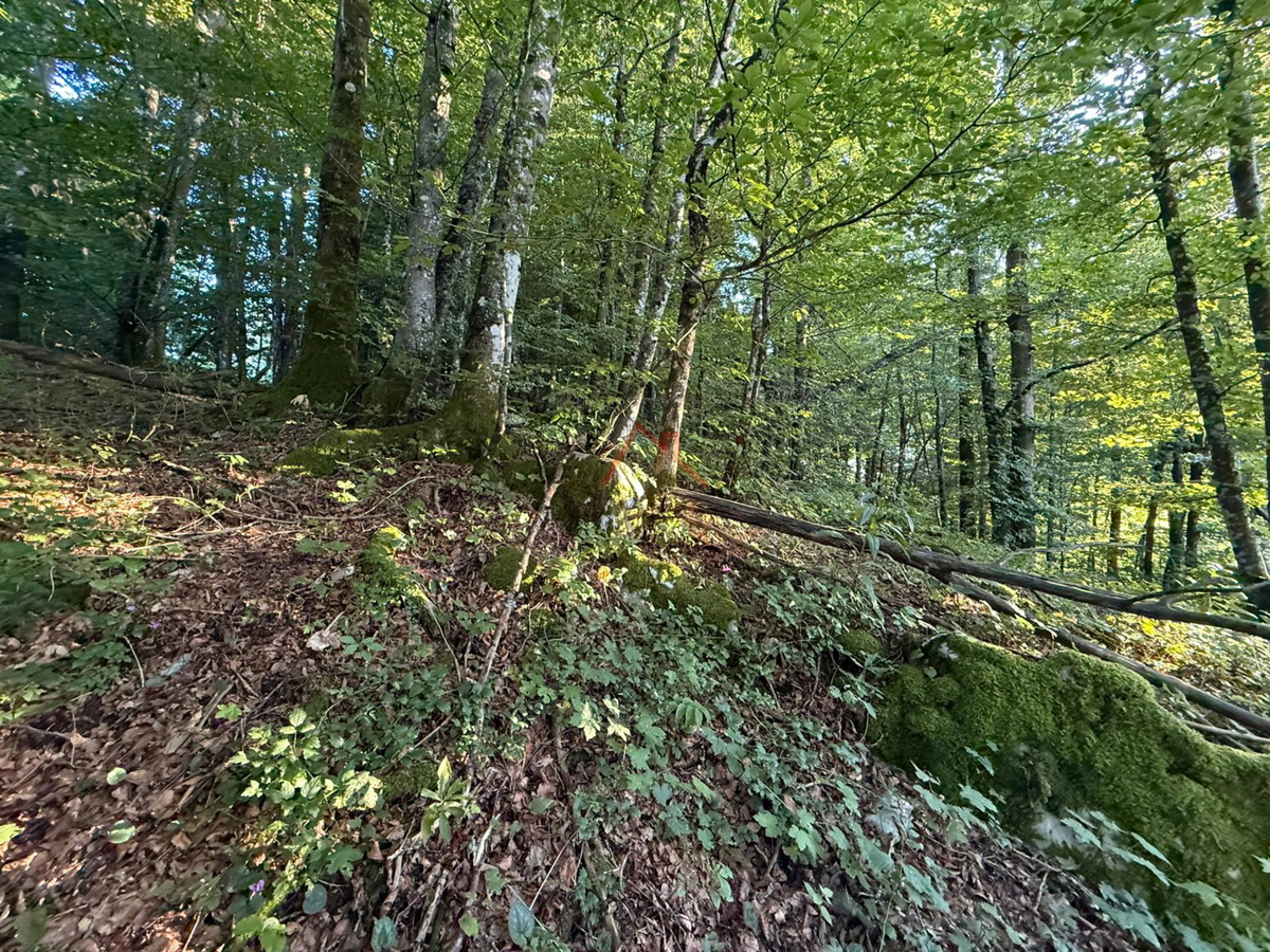 LOKVE - Gradbeno zemljišče, 3072 m2