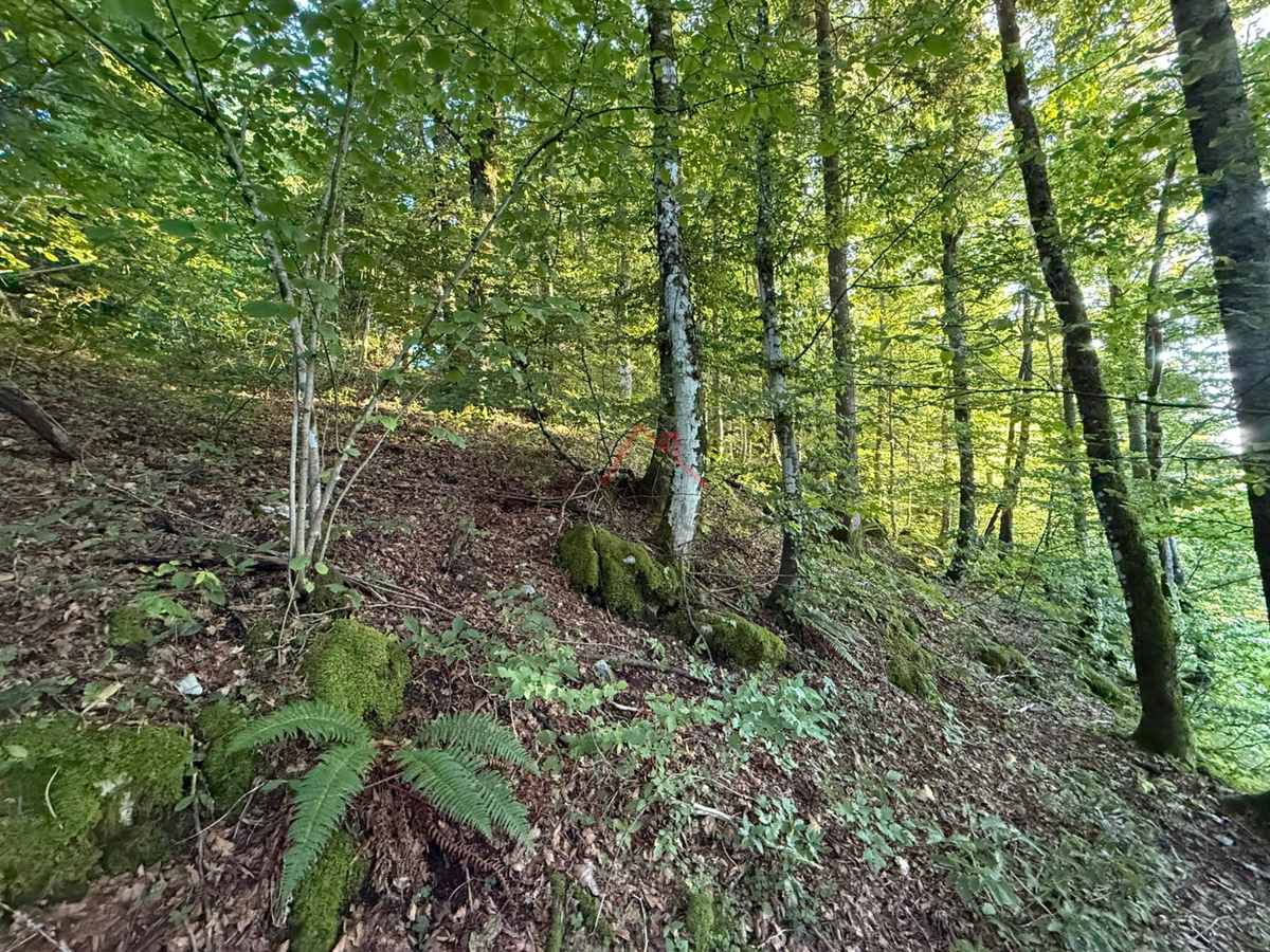 LOKVE - Gradbeno zemljišče, 3072 m2