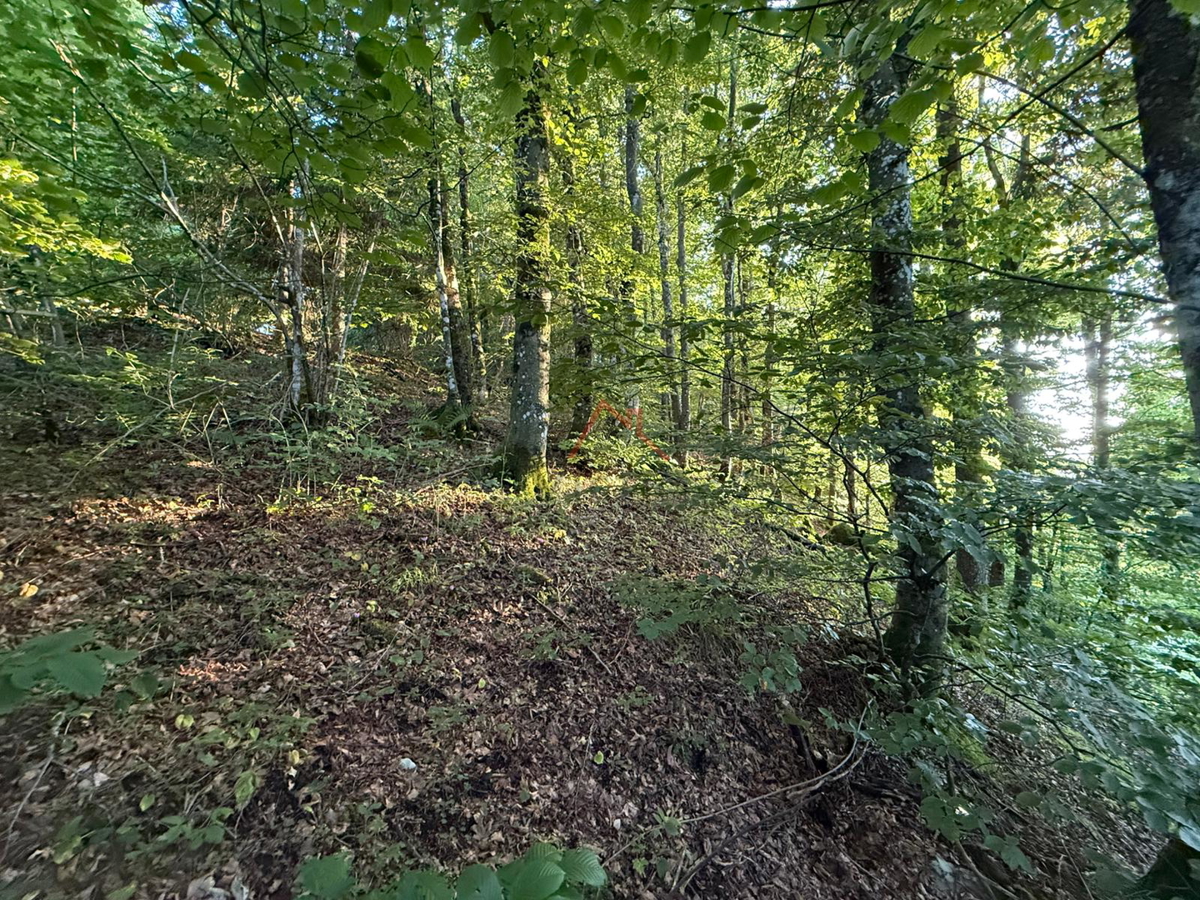 LOKVE - Gradbeno zemljišče, 3072 m2