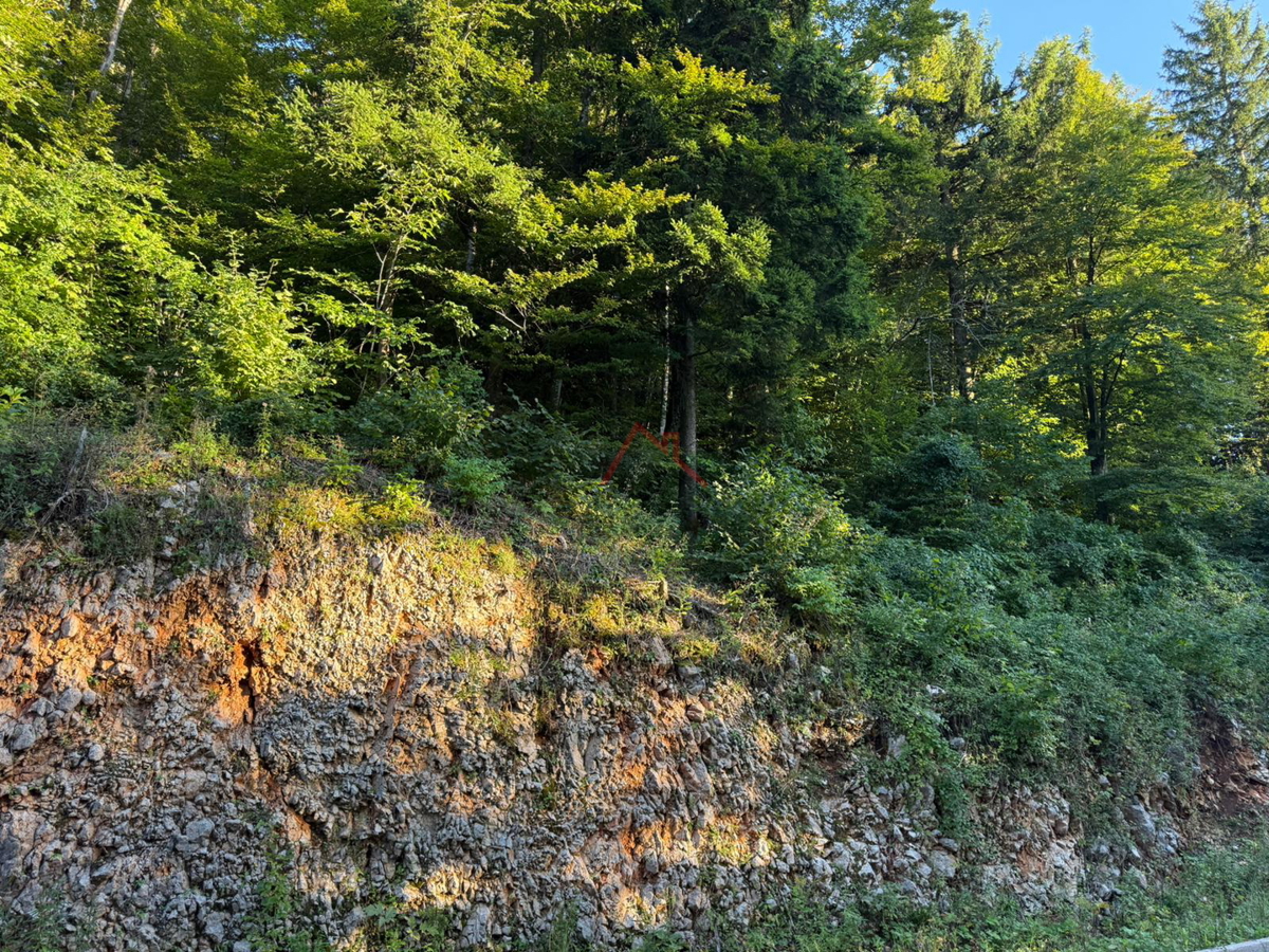 LOKVE - Gradbeno zemljišče, 3072 m2