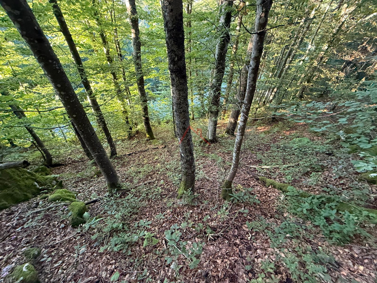 LOKVE - Gradbeno zemljišče, 3072 m2