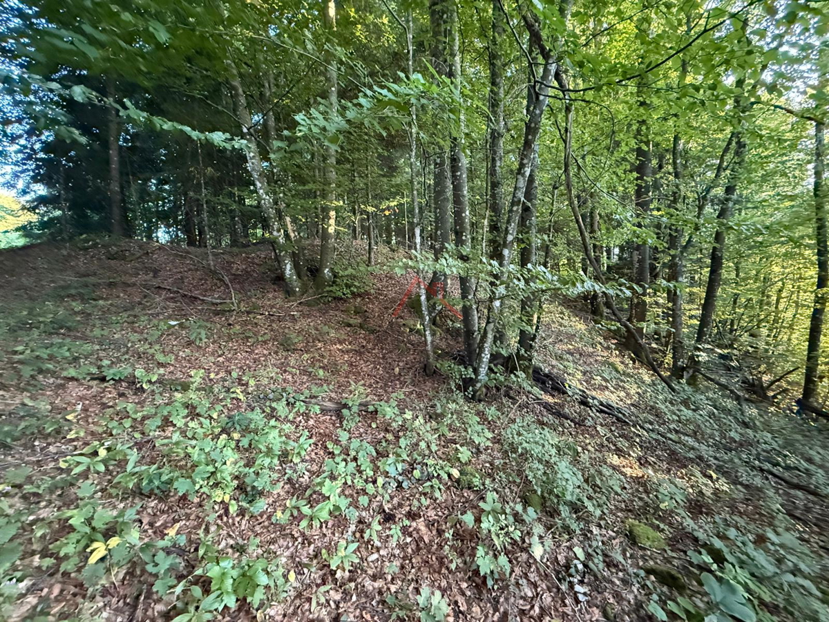 LOKVE - Gradbeno zemljišče, 3072 m2