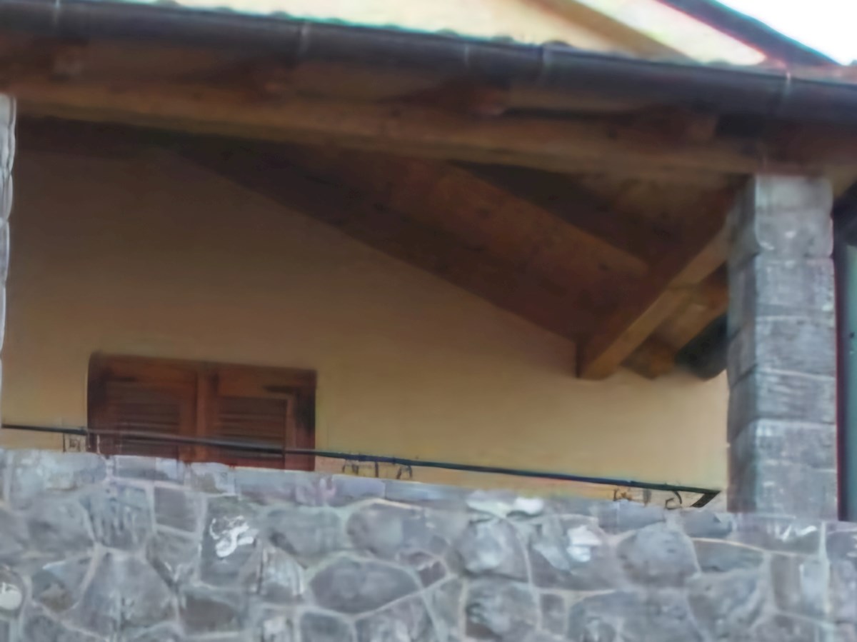 PRVA VRSTA DO MORJA !!!!!!