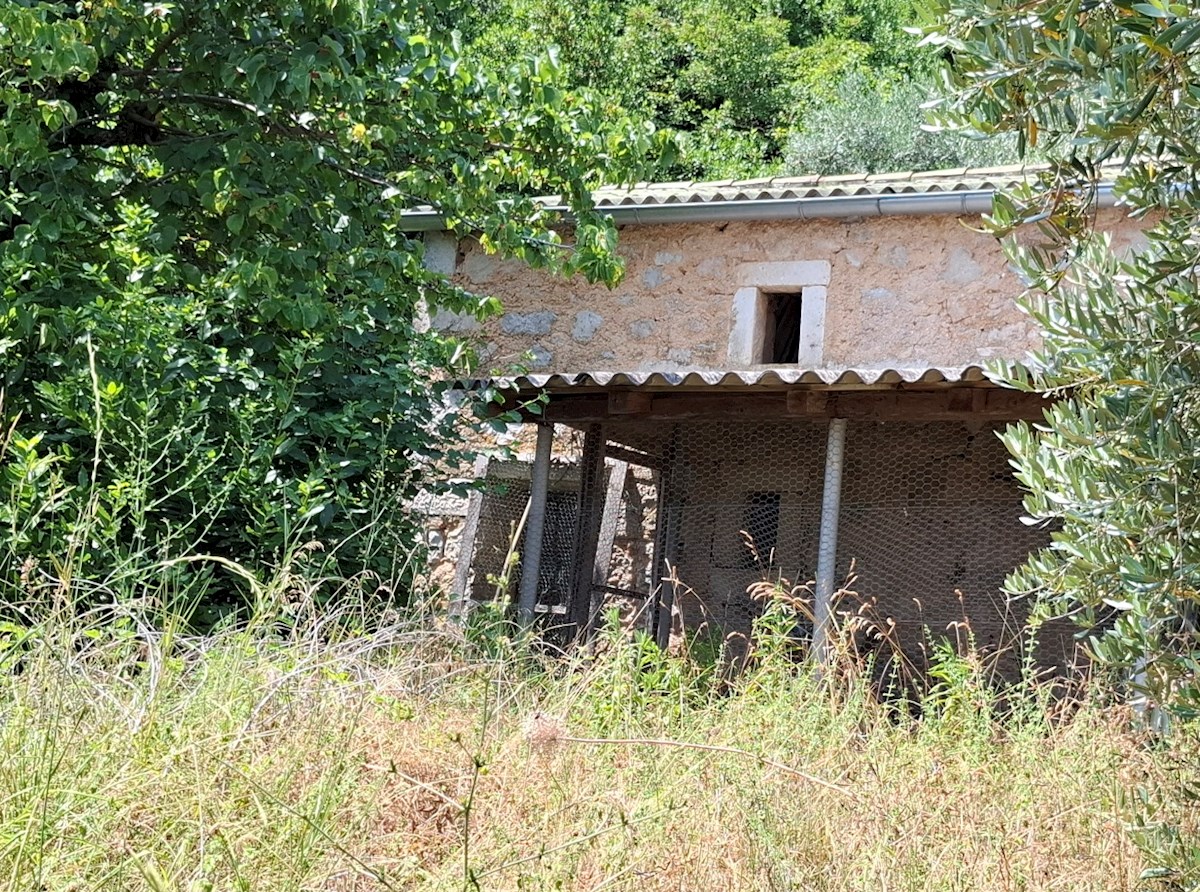 DVE KAMNITI HIŠI, MIRNO OKOLJE, ODPRT POGLED NA MORJE