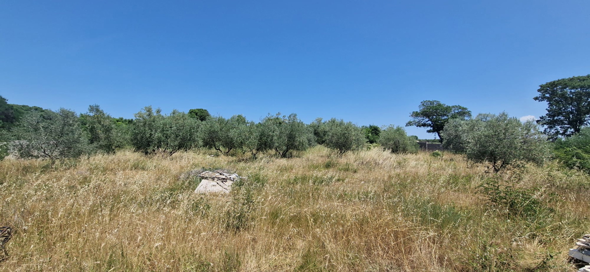 Zadar, Briševo, gradbeno zemljišče (1108 m2)