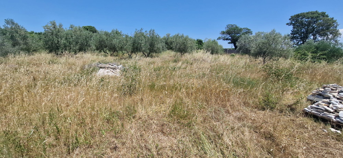 Zadar, Briševo, gradbeno zemljišče (1108 m2)