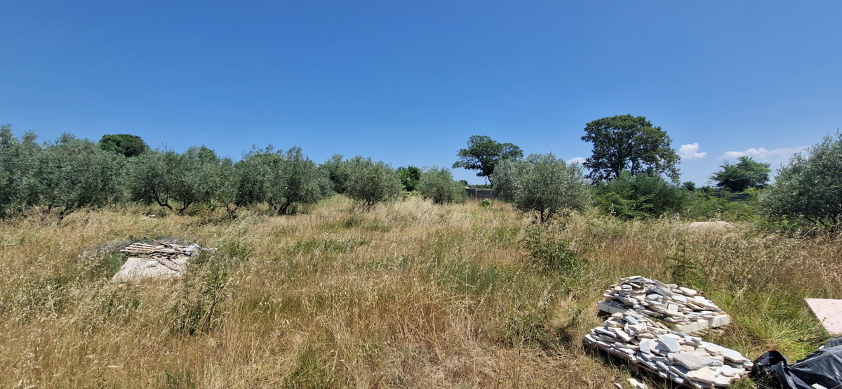 Zadar, Briševo, gradbeno zemljišče (1108 m2)