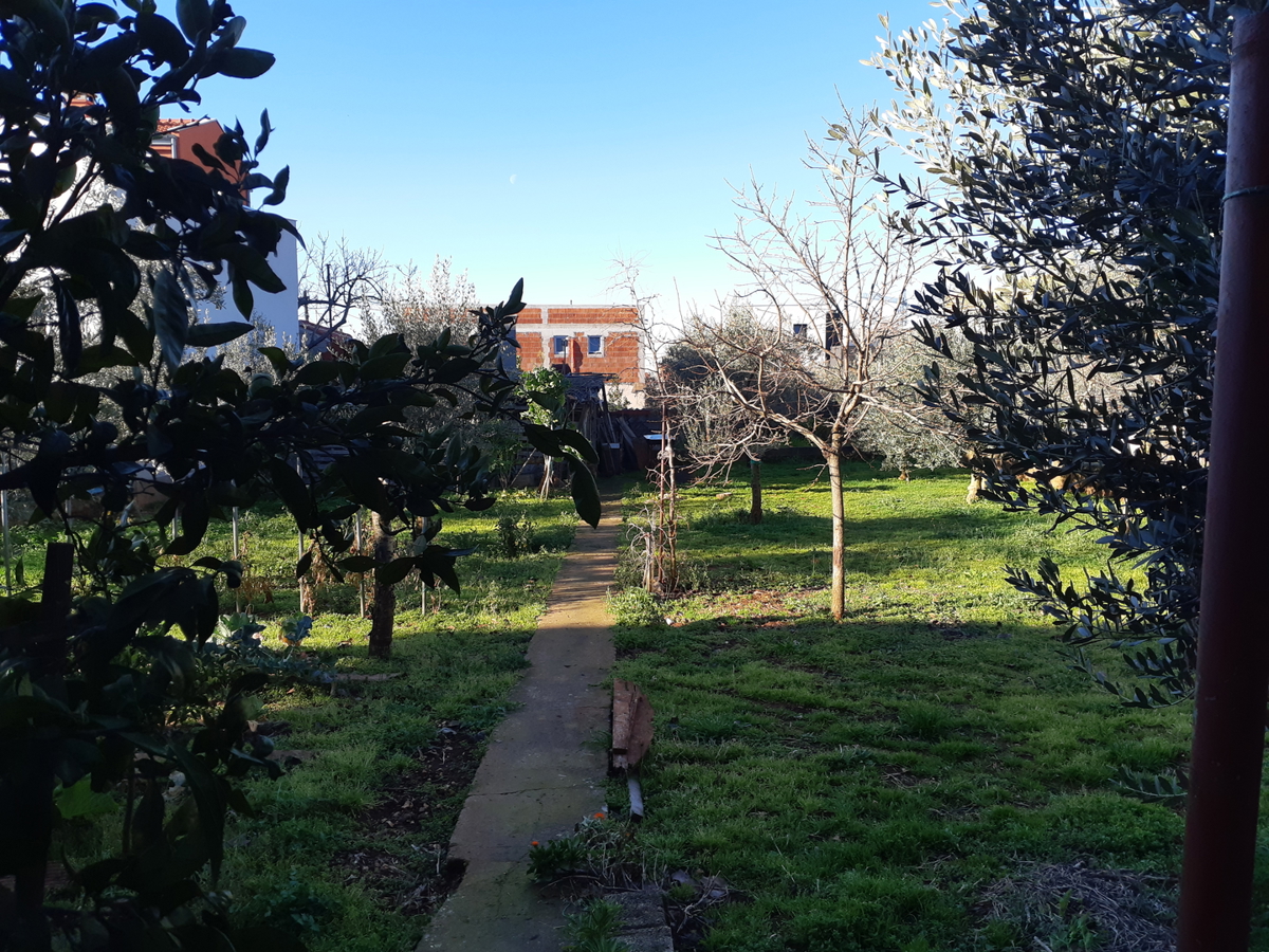 Zadar, Višnjik, odlična hiša (269 m2) na vrhunski lokaciji z veliko zemljišča