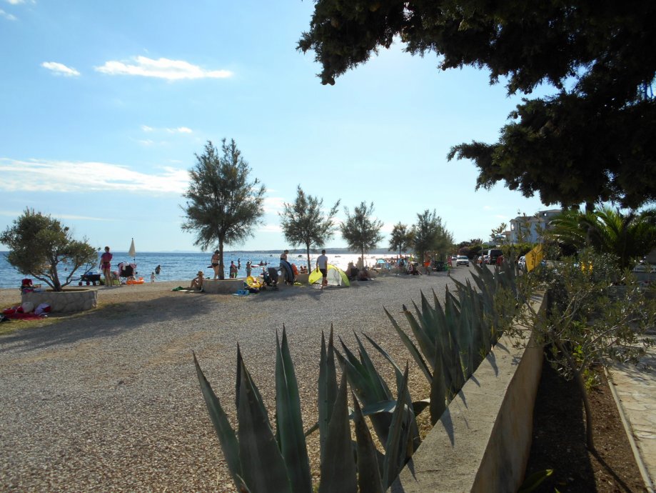 Vir, čudovita pritlična hiša s 3 apartmaji, 30 m od morja, južna stran!