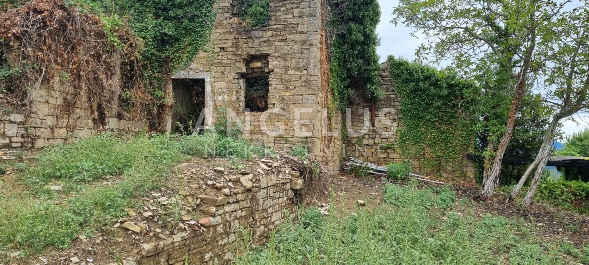 Istra, Motovun - posest z objekti, 620m2