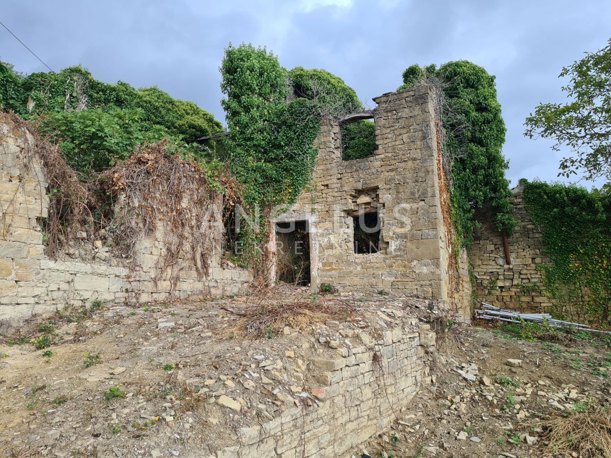 Istra, Motovun - posest z objekti, 620m2