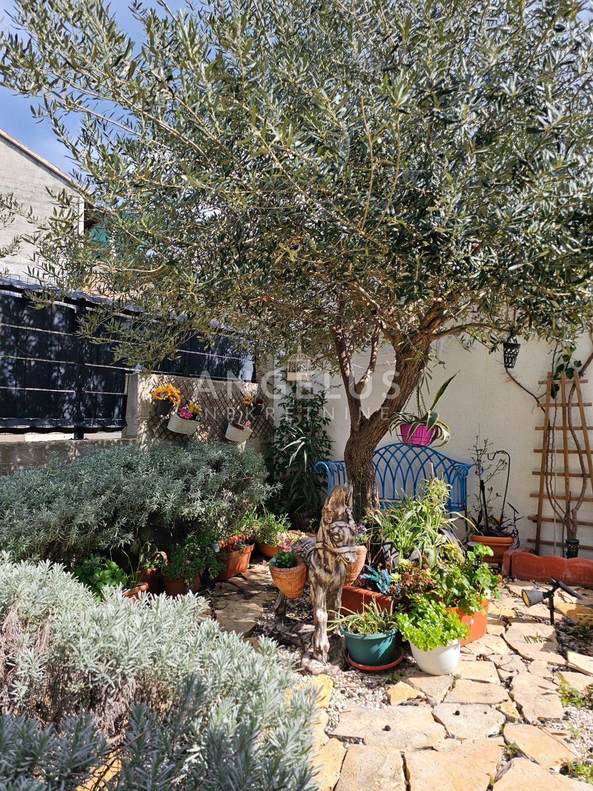 Brač, Sutivan - dvosobno stanovanje s teraso in pogledom na morje, 112m2, PRODAJA