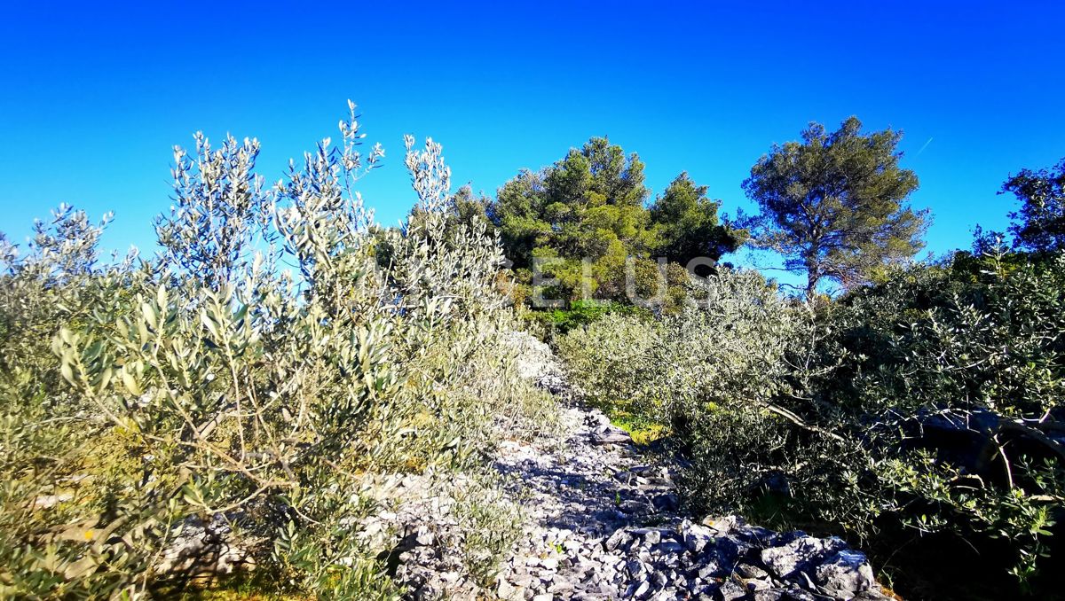 Šolta, Nečujam - gradbeno zemljišče s pogledom na morje, 5100 m2