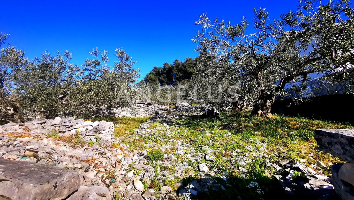 Šolta, Nečujam - gradbeno zemljišče s pogledom na morje, 5100 m2