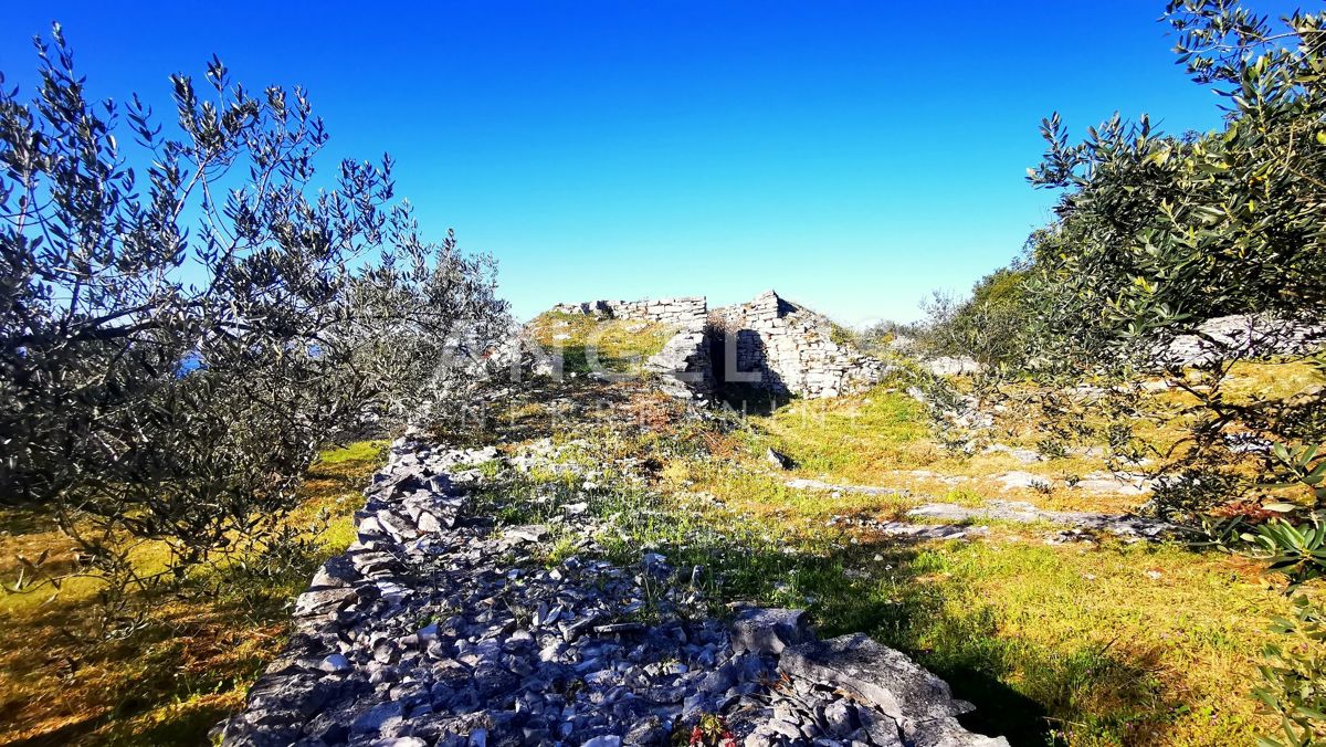 Šolta, Nečujam - gradbeno zemljišče s pogledom na morje, 5100 m2