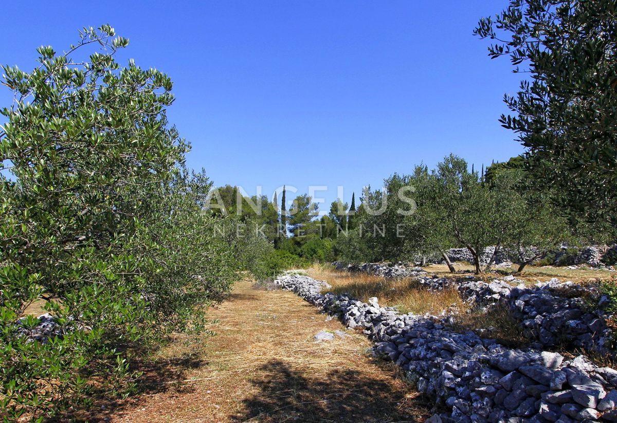 Hrvaška, Ston, Zaton Doli - gradbeno zemljišče s pogledom na Malostonski zaliv, 2298 m2