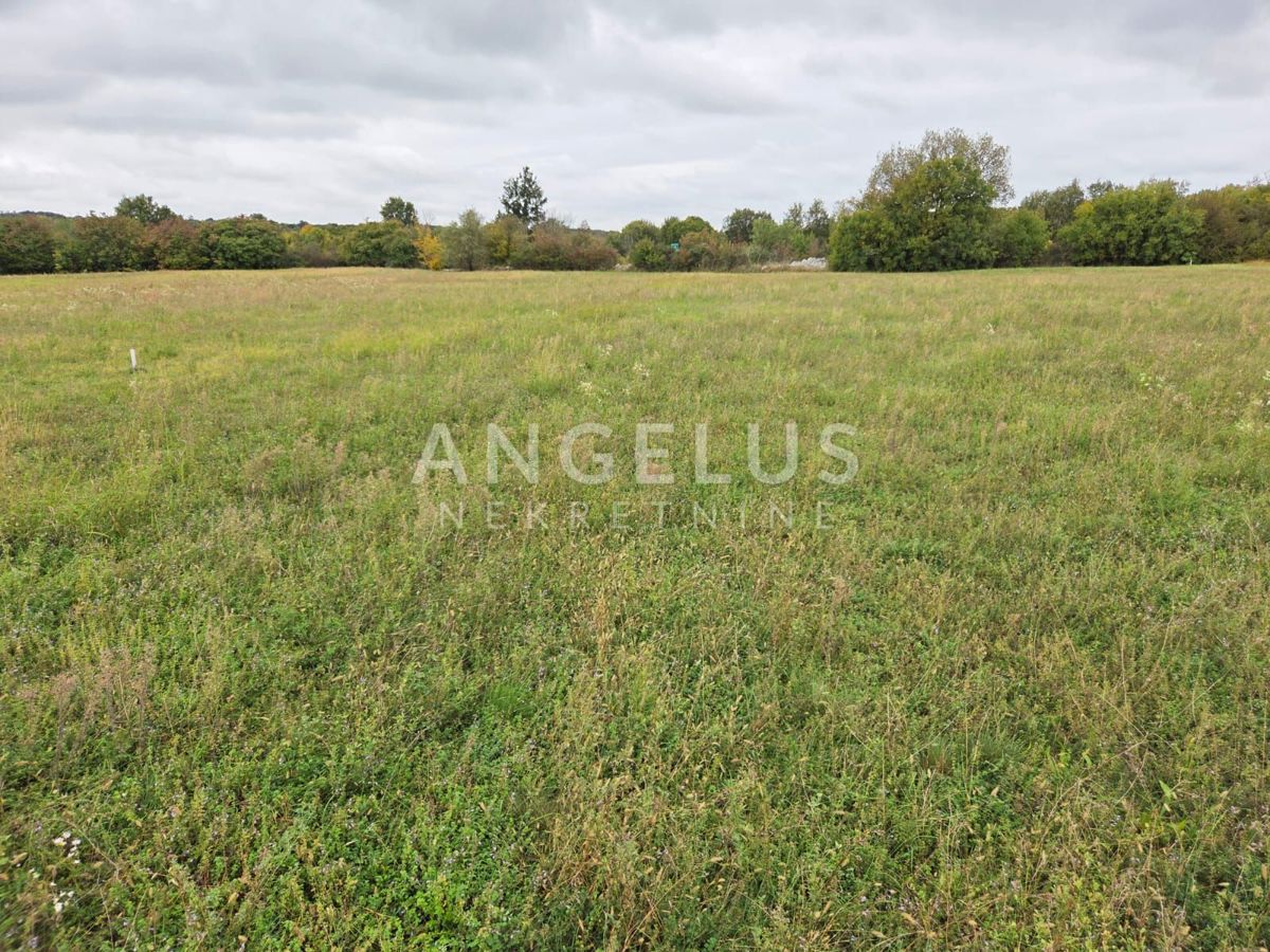 Zemljišče Kanfanar, 11.454m2