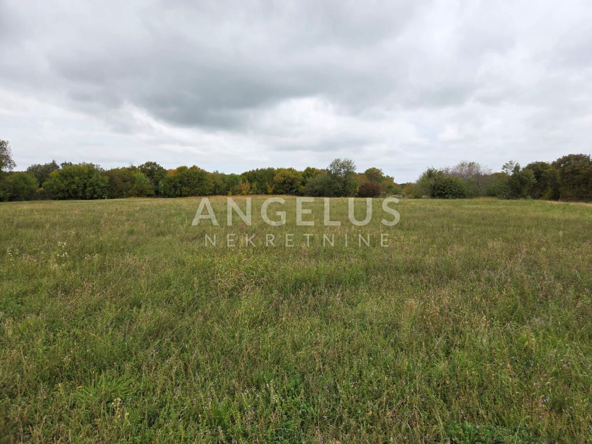 Zemljišče Kanfanar, 11.454m2