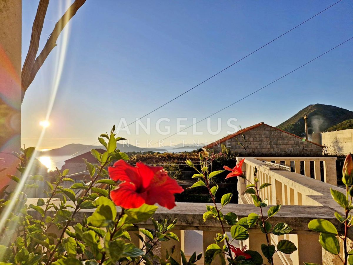 Hrvaška, Dubrovnik, Orašac - Samostojna kamnita hiša s panoramskim pogledom na morje - NAPRODAJ