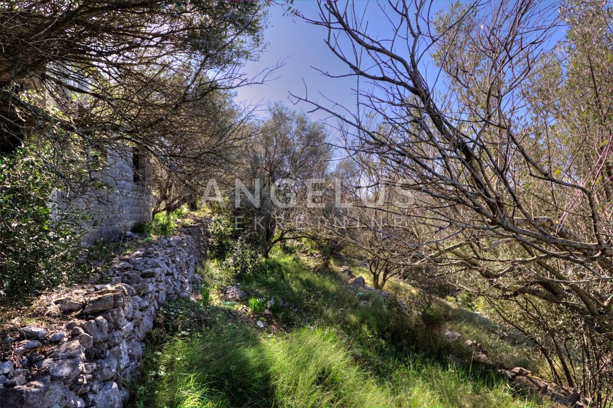 Korčula, Vela Luka – edinstvena nepremičnina ob obali, obdana z zelenjem – 7.000 m2 - PRODAJA