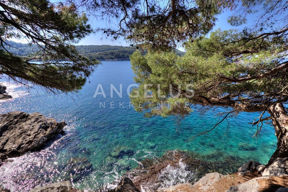 Korčula, Vela Luka – edinstvena nepremičnina ob obali, obdana z zelenjem – 7.000 m2 - PRODAJA