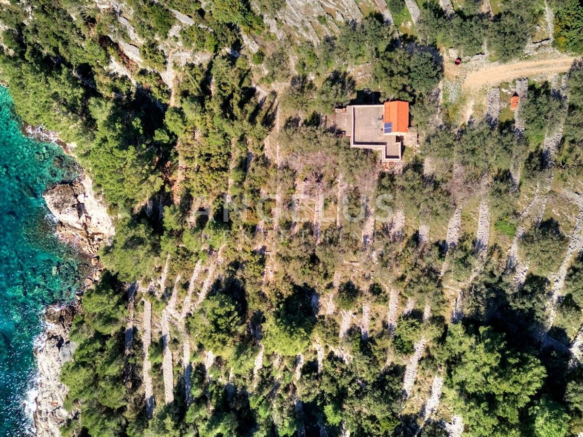 Korčula, Vela Luka – edinstvena nepremičnina ob obali, obdana z zelenjem – 7.000 m2 - PRODAJA