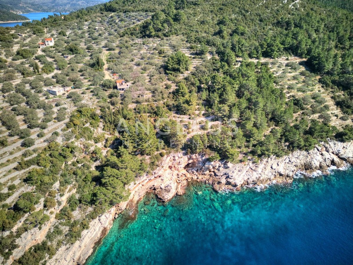 Korčula, Vela Luka – edinstvena nepremičnina ob obali, obdana z zelenjem – 7.000 m2 - PRODAJA